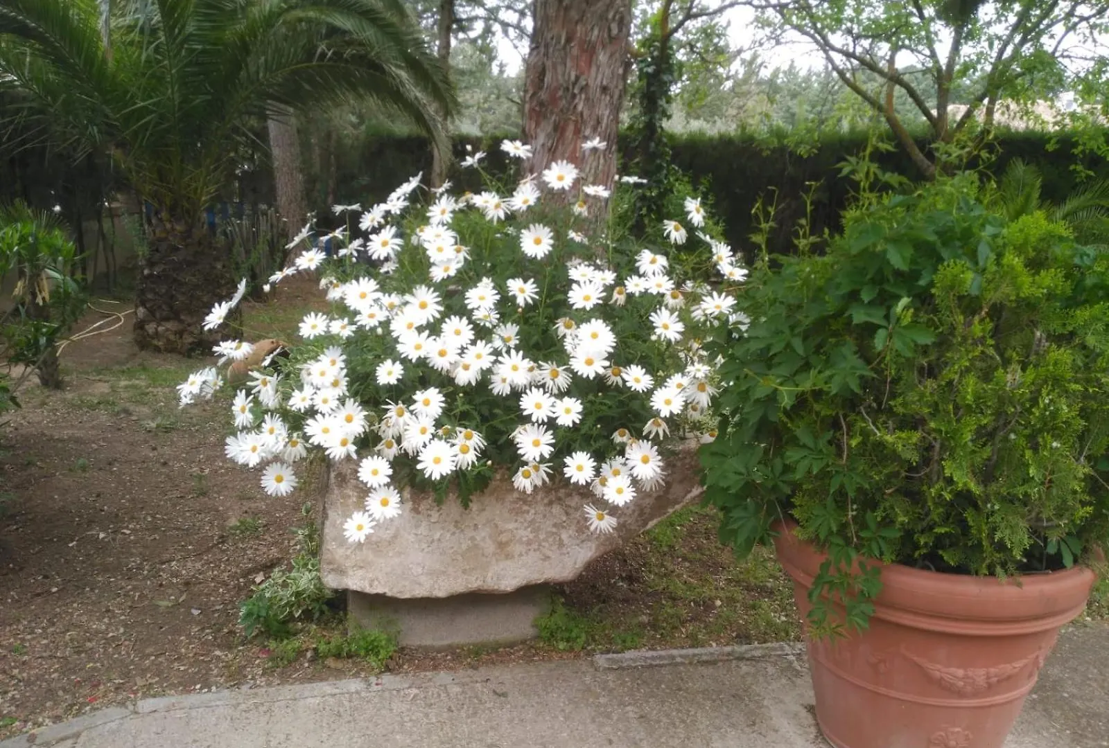 Dom wakacyjny Willa Vivienda Turistica Rural Mari Carmen Baeza Hiszpania